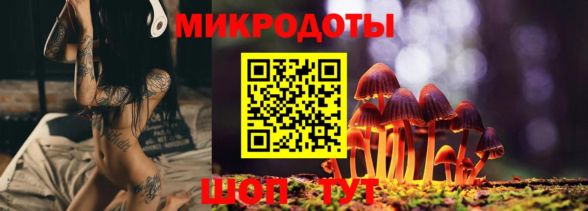 Галлюциногенные грибы прущие грибы  Вход с VPN  Тосно  Псилоцибиновые грибы GOLDEN TEACHER 