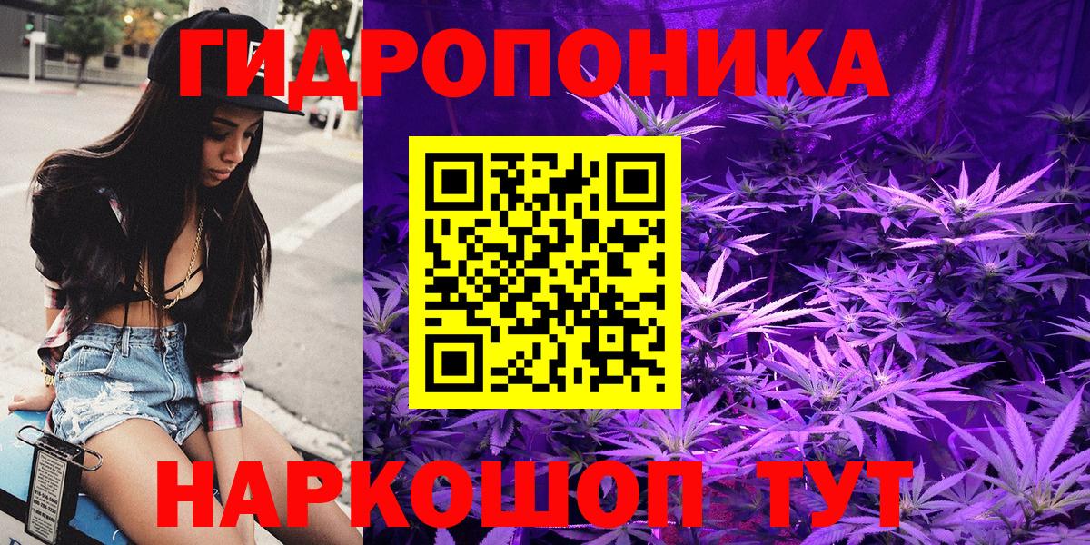 Марихуана White Widow  Бошки Шишки план  Каннабис план  Вход с VPN  Тосно 